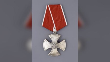 Орден Мужества сзади