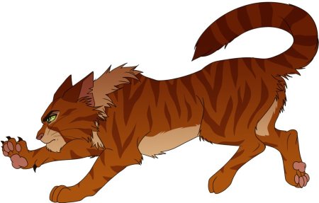 Коты Воители Остроглаз небесное племя