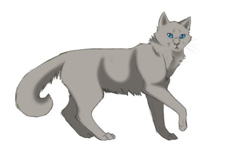 Коты Воители Синеголаз