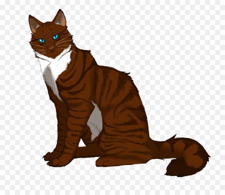 Коты Воители Коршун