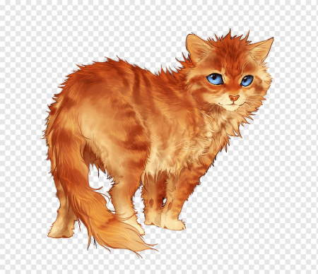 Рыжий кот арт коты Воители