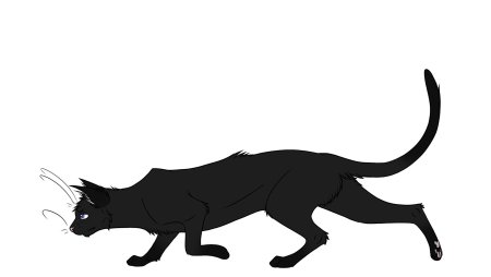 Коты Воители чёрный кот