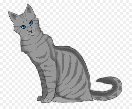 Willowshine коты Воители