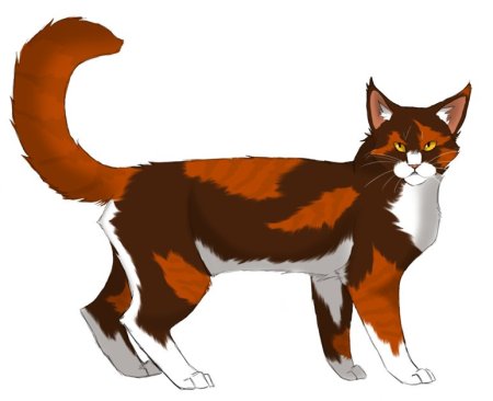 Коты Воители Ярохвоста
