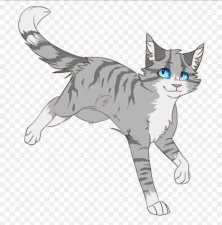 Коты Воители Белолапка