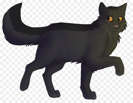 Коты Воители Крутобок
