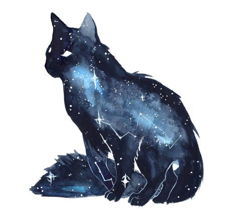 Коты Воители космос