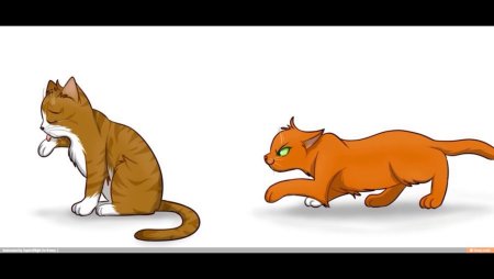 Коты Воители Белочка и Листвичка
