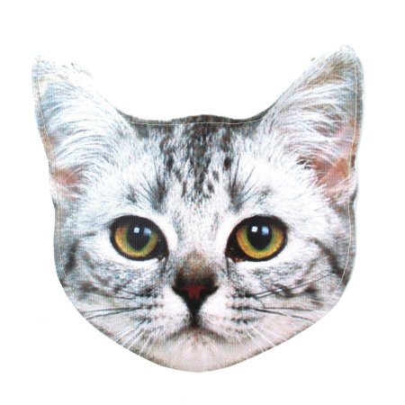 Морда кота