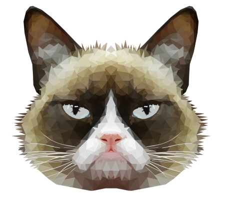 Голова кота