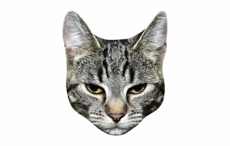 Кошачья мордочка