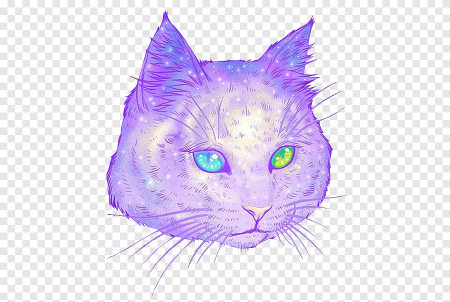 Фиолетовый кот