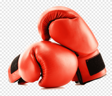 Боксерские перчатки Boxing Sport