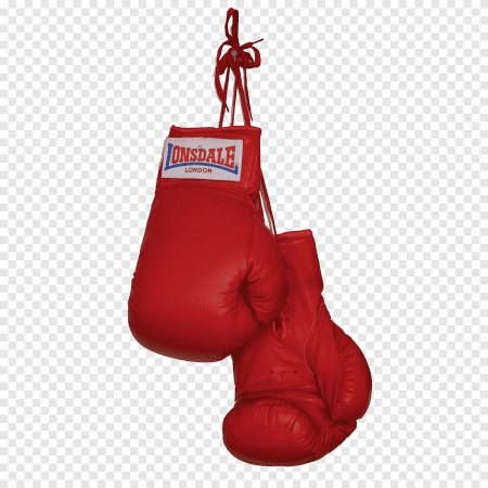Everlast Boxing