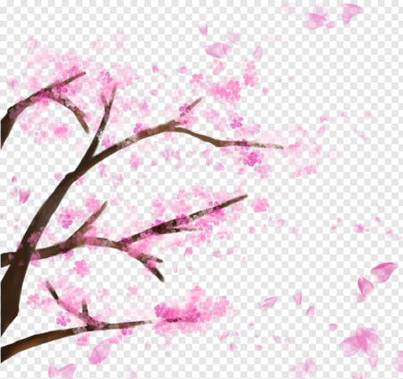 Картинки сакура дерево без фона (47 фото)