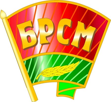 Значок БРСМ