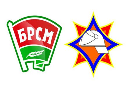 Значок белорусский Союз молодежи