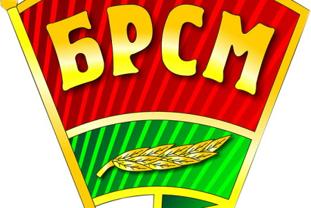 БРСМ согласовано pdf