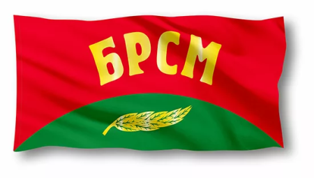 БРСМ флаг