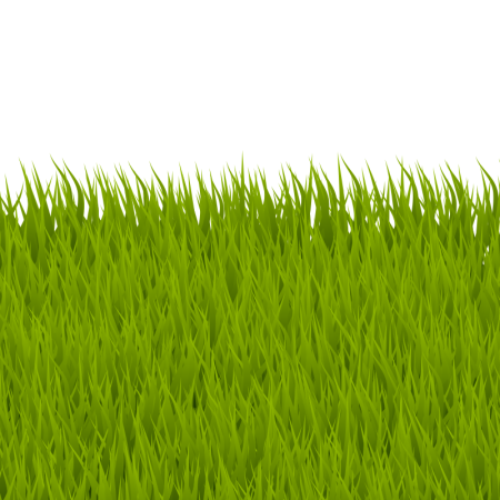 Картинки текстура травы без фона (50 фото)