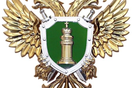 Прокуратура на прозрачном фоне