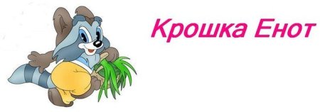 Крошка енот на прозрачном фоне
