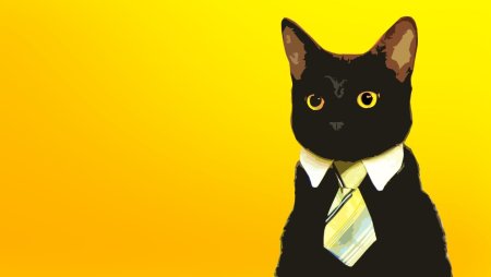 Кот на желтом фоне