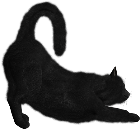Кот для фотошопа