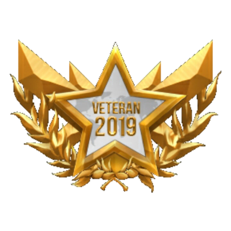 Медаль бронза стандофф