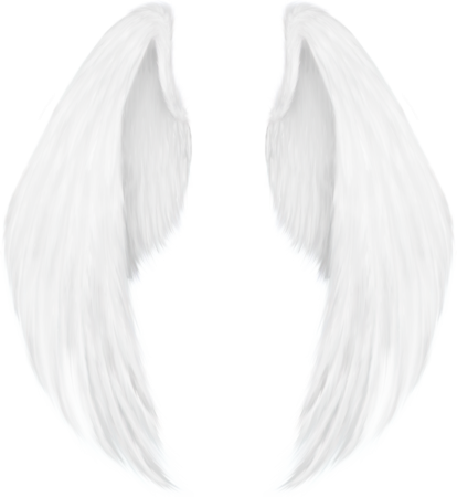 Картинки белые крылья без фона (48 фото)