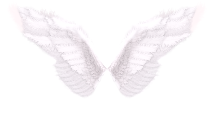 Белоснежные Крылья без фона