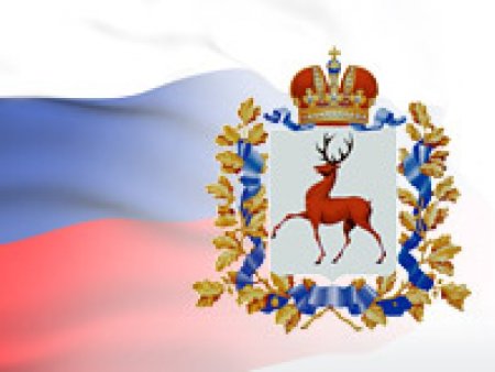 Правительство Нижегородская области флаг