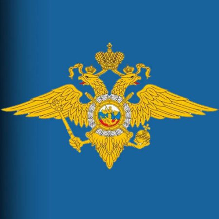 Министерство внутренних дел России (МВД РФ)