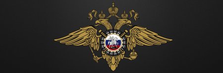 МВД России логотип