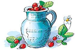 Кувшинчик с ягодами рисунок