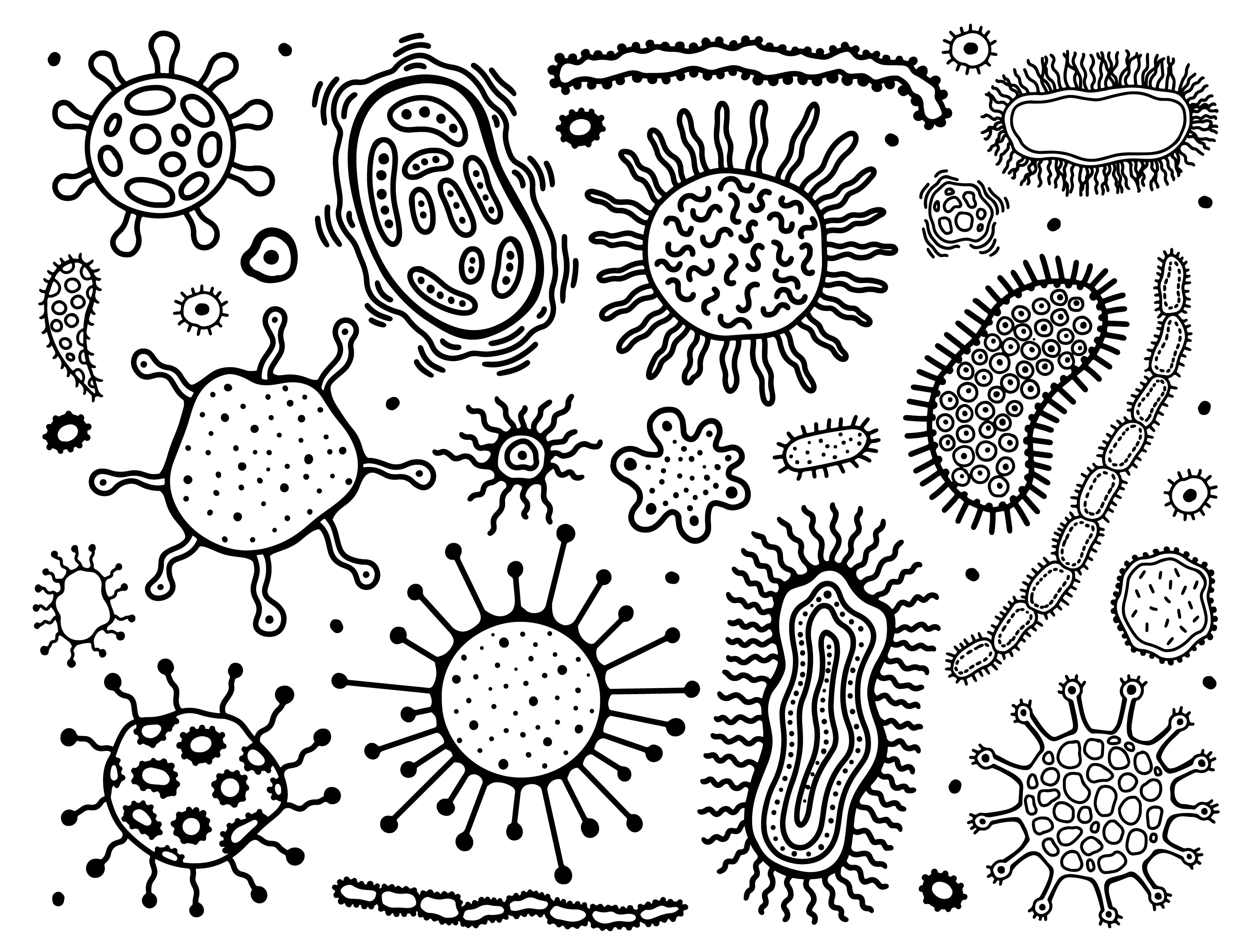 Объект изображенный на рисунках вызывает инфекционное заболевание. Раскраска вирусы и микробы для детей. Бактерии раскраска. Раскраска бактерии и вирусы. Раскраска микробы и бактерии для детей.