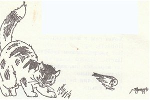 Картинки раскраски воробьишко горький (50 фото)