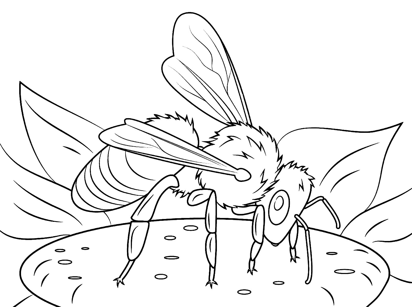 Раскраска насекомые для детей 7 лет. Насекомые раскраска для детей. Раскраска насекомые для малышей. Пчела раскраска. Пчела раскраска для детей.