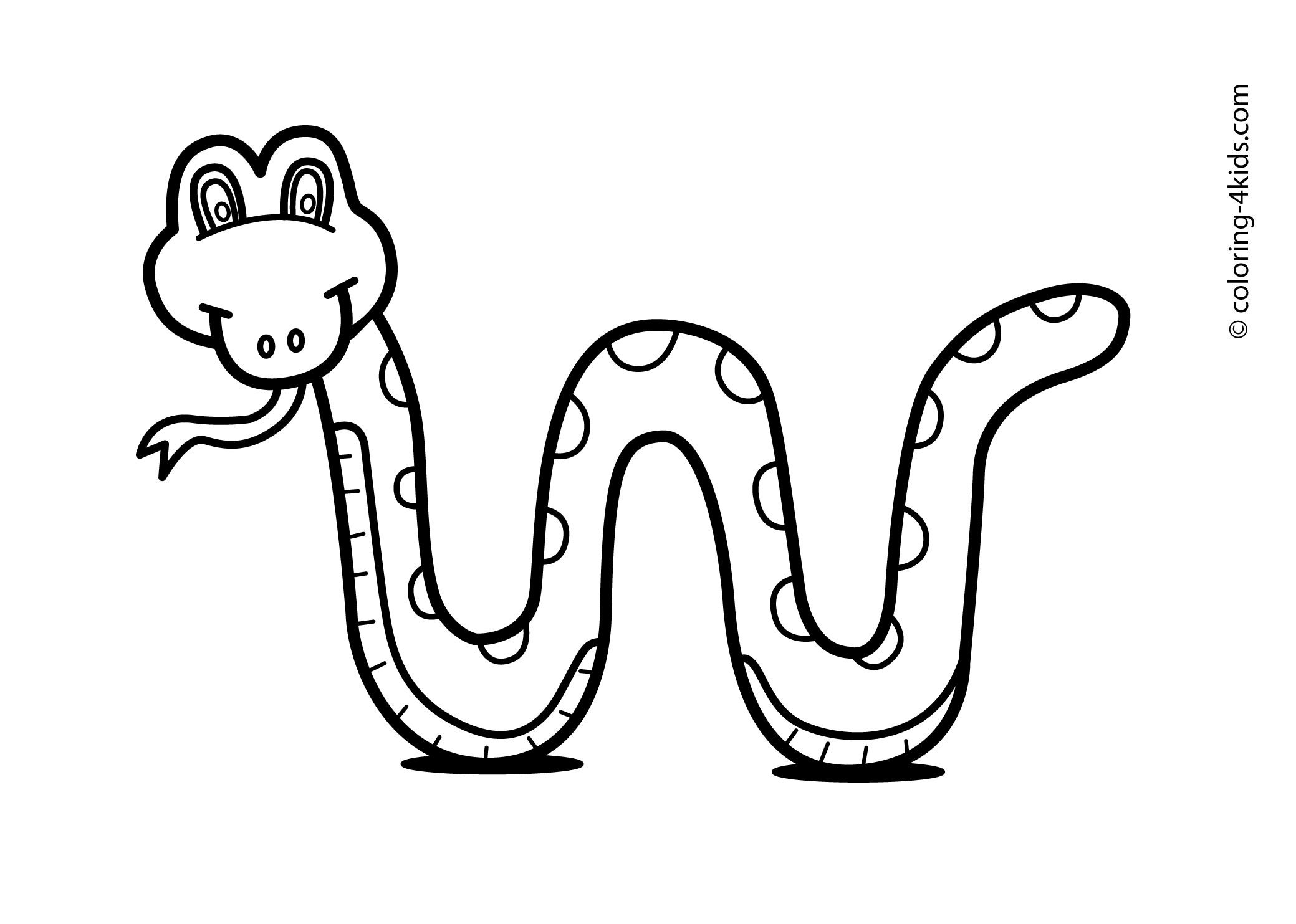 Змея раскраска. Змея раскраска для детей. Раскраска змеи для детей. Змея картинка раскраска. Раскраска змей для детей