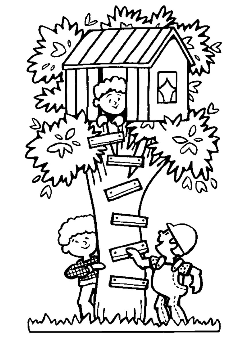 Раскраска Заповедный лес. Рисунки для медитаций АСТ - купить с доставкой на дом в СберМаркет