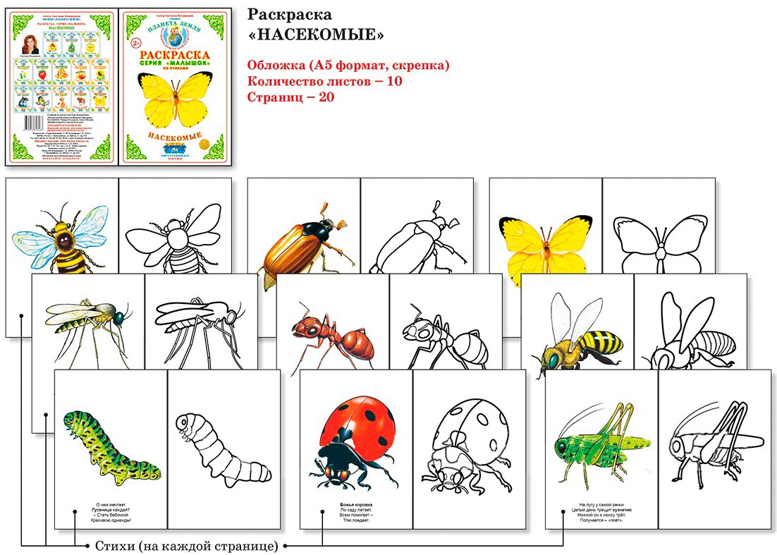 Календарное по теме насекомые. Насекомые для дошкольников. Раскраска насекомые для малышей. Насекомые раскраска для детей. Насекомые задания.