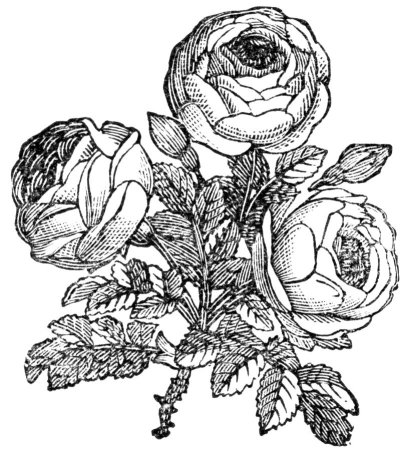 Графические часы