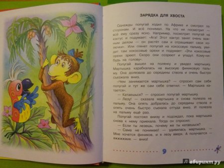 38 Попугаев раскраска