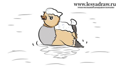 Серая шейка рисунок