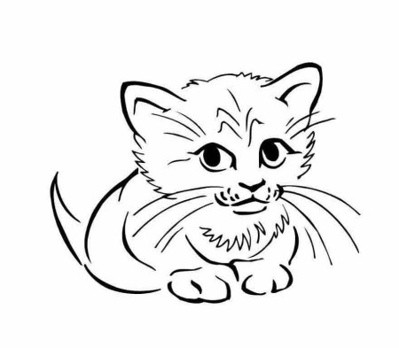 Кошка раскраска для детей