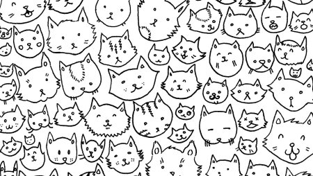 Много котиков