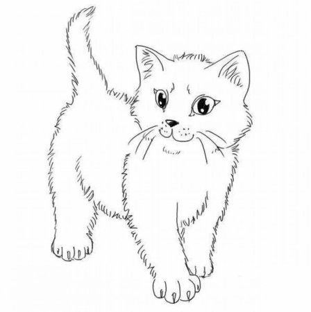 Кошка раскраска для детей