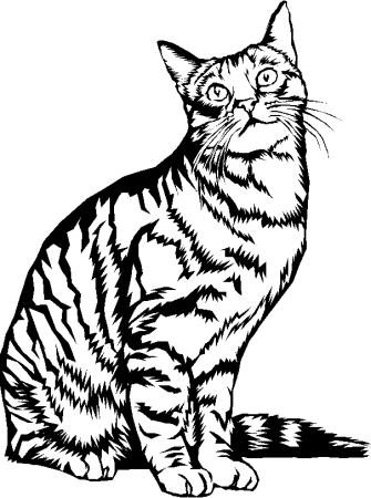 Раскраска кот