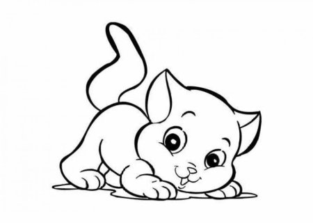 Котенок. Раскраска