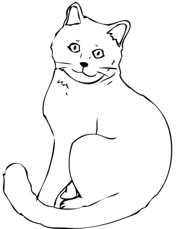 Кот раскраска для детей